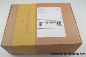 Citrus Lane March 2014 2 Year Old Boy Subscription Box Review