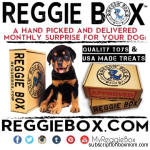 Reggie Box BFF Edition