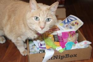 KitNipBox August 2014 Review