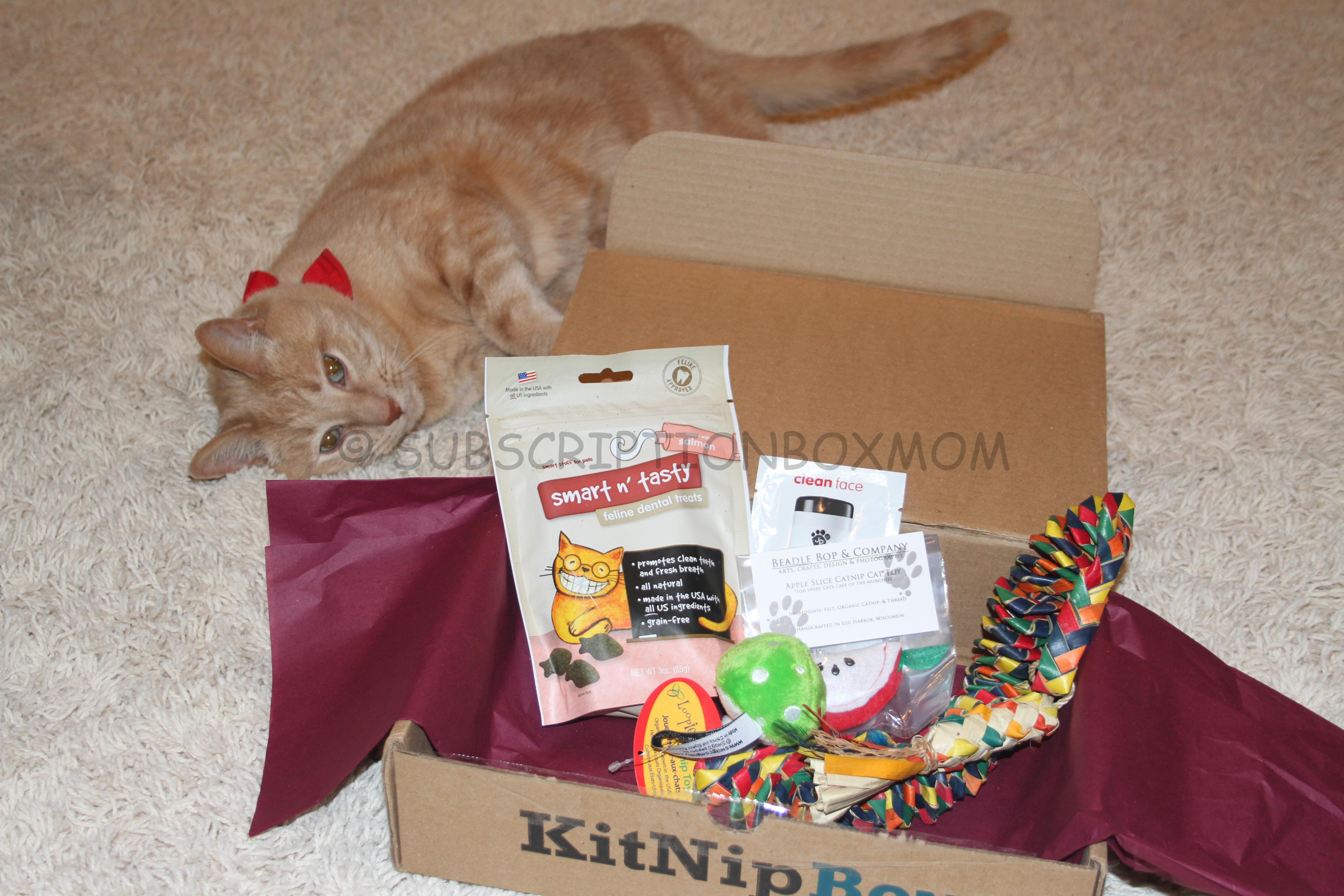 KitNipBox May 2014 Save 50 Off Giveaway Cat Subscription Box