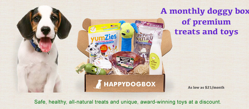 Happy Dog Box