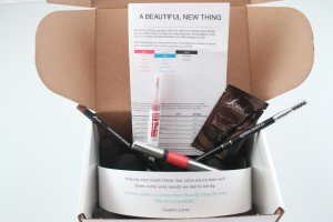 Wantable January Box