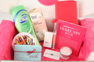 Popsugar February 2014 Review