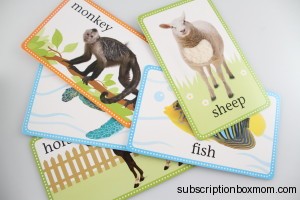 Animal Cards