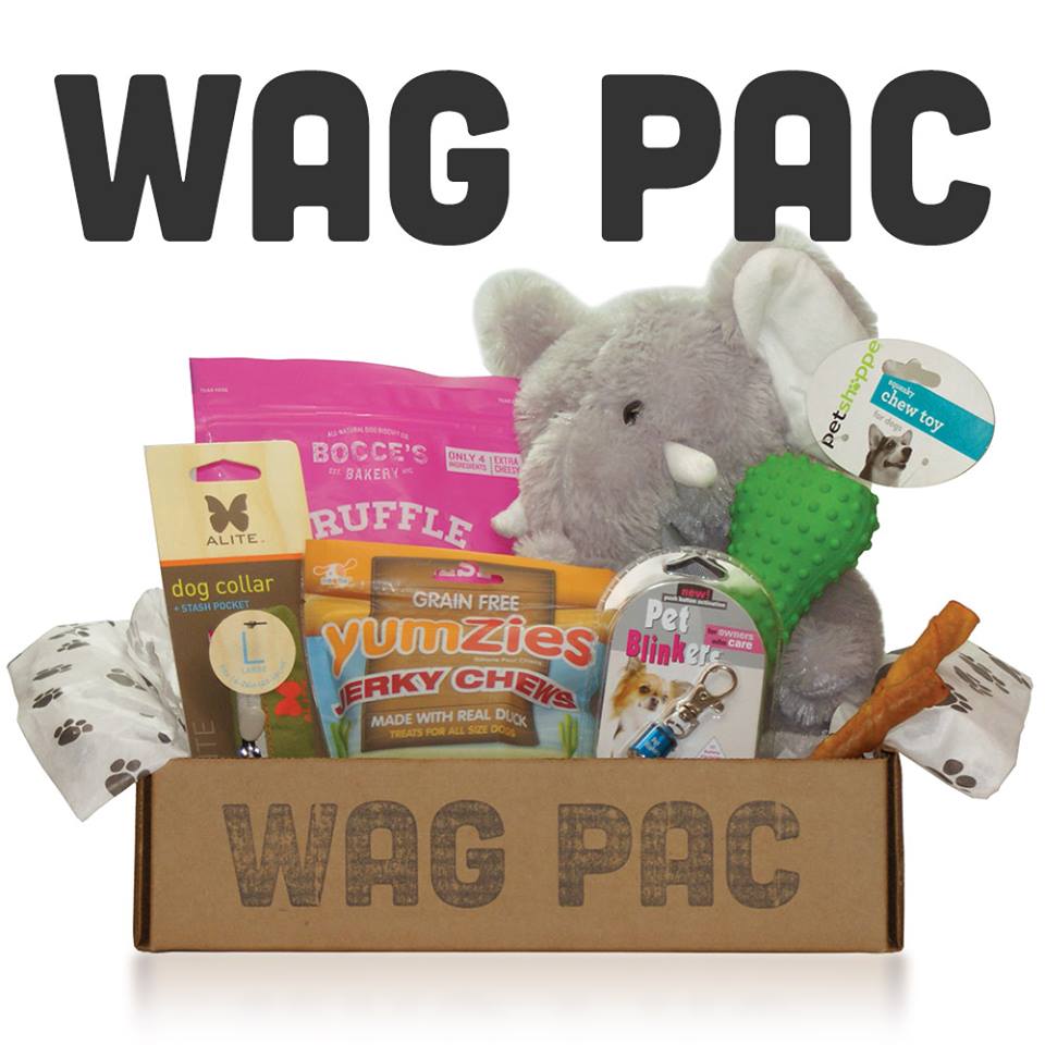 Wag Pac Dog Subscription Box » Subscription Box Mom
