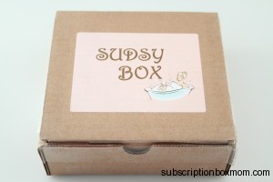 Sudsy Box