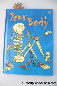 Your Body