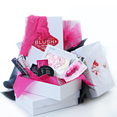 BlushBox Teaser Box August 2014 Review