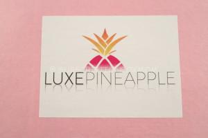 Luxe Pineapple Box of Joy Review