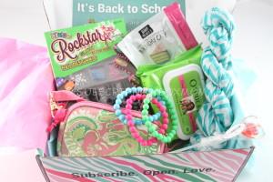 September 2014 Posh Pak Subscription Box Review 