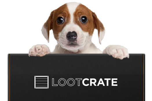 Huge Loot Crate Coupon for Past Subscribers Only