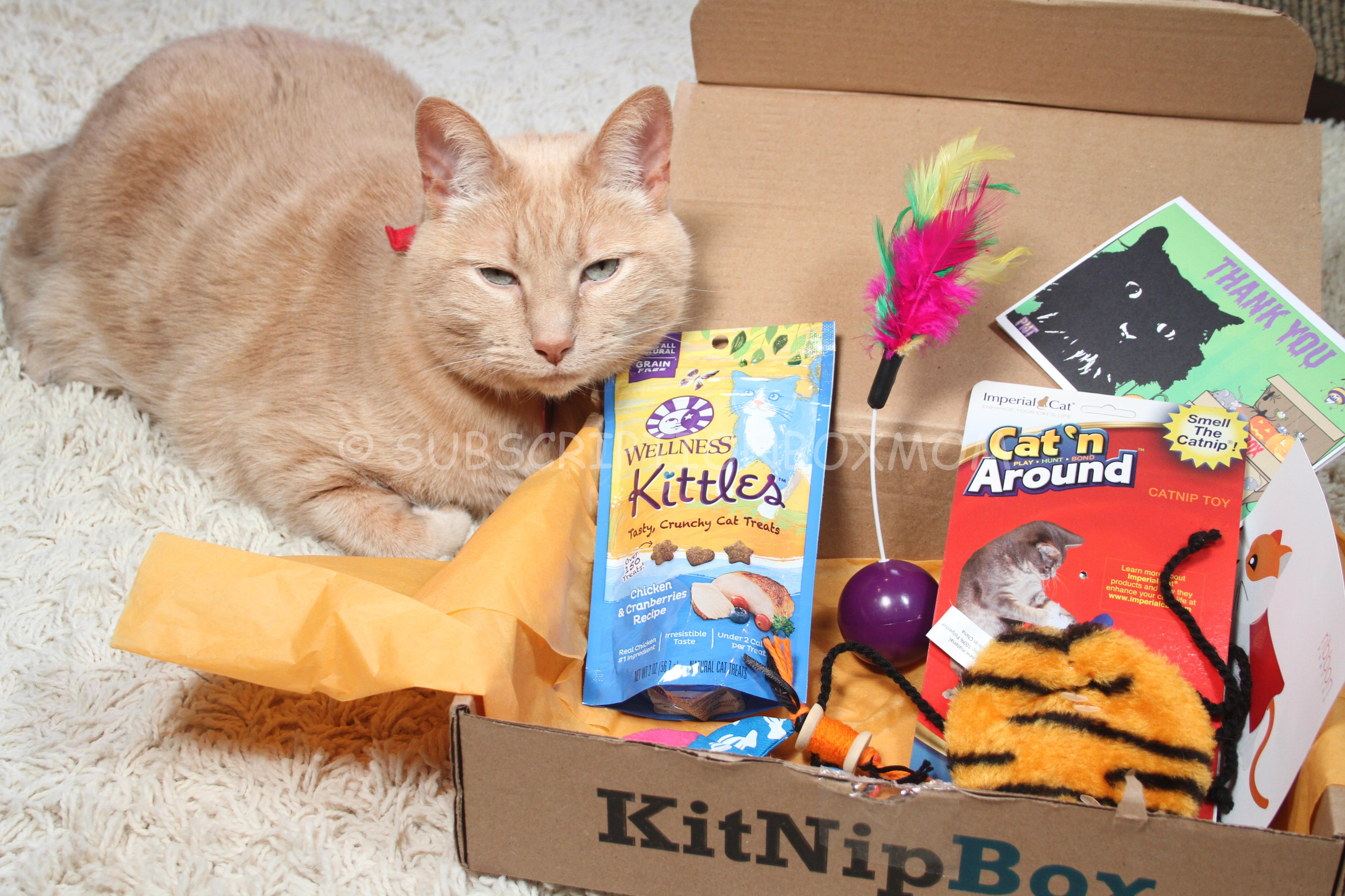 KitNipBox October 2014 Review - Save 15% - Cat ...
