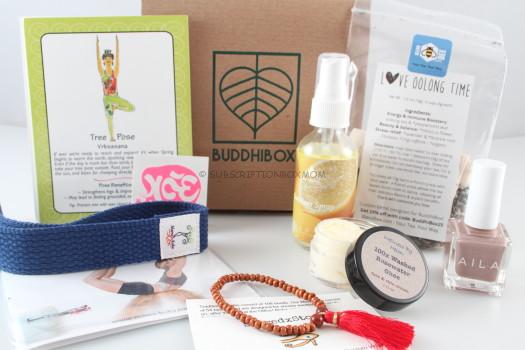 March 2015 BuddhiBox Review + Coupon