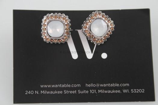 Genna Earrings Silver