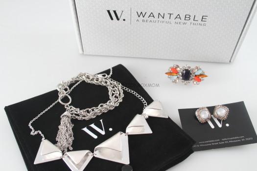 March 2015 Wantable Accessories Review