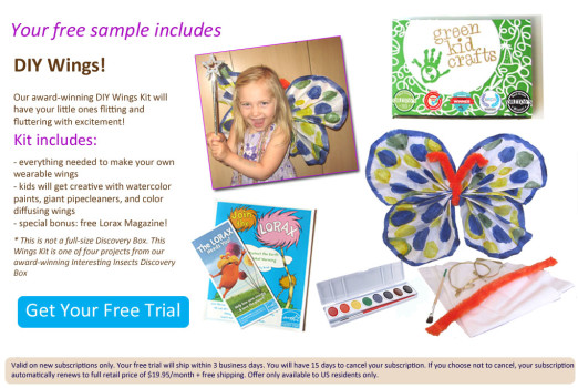 FREE Green Kid Crafts Trial Box - DIY Butterfly Wings