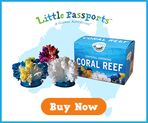 CoralReef_Banner300X250