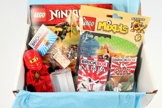 BrickBox September 2015 Subscription Box Review