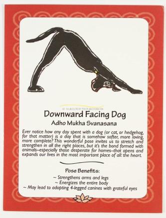 Yoga Pose of the Month - Downward Facing Dog