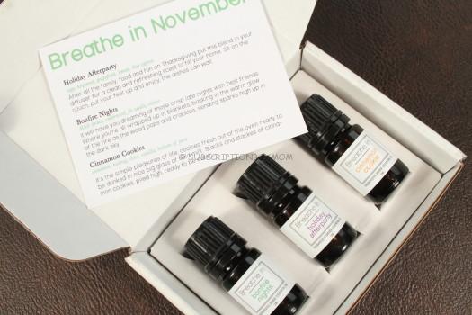 Breathe In Box December 2015 Review