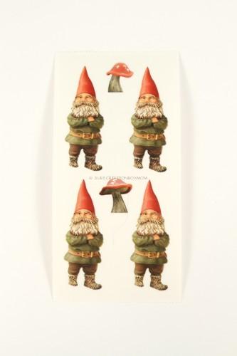 Gnomes