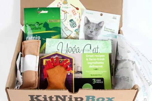 KitNipBox January 2016 Review