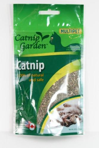 Catnip Garden Catnip