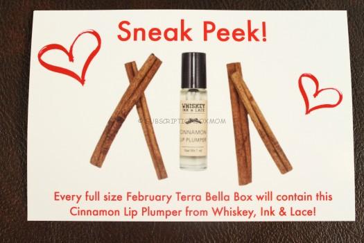  Cinnamon Lip Plumper from Whiskey, Ink & Lace.