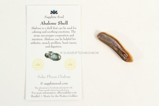 Abalone Shell