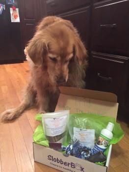 SlobberBox March 2016 Pet Box Review