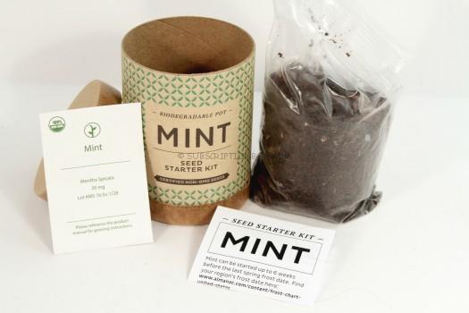 Modern Sprout Kraft Seed Starter