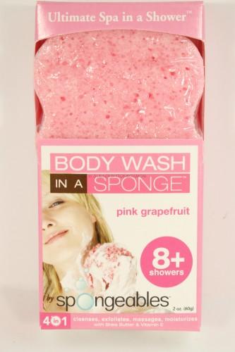 Shower Gel in a Sponge