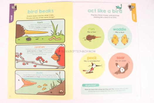 Bird Magazine