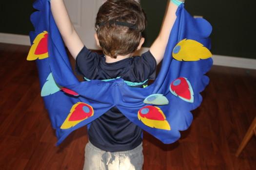 bird cape