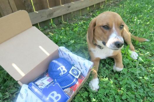 BarkBox April 2016 Review