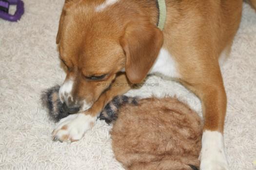 Buddy and Frontier Hat