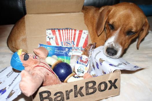 BarkBox July 2016 Review