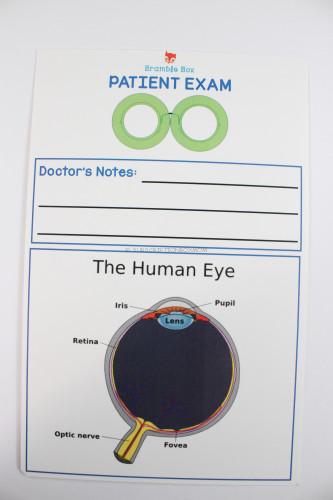 Diagram of the Human Eye