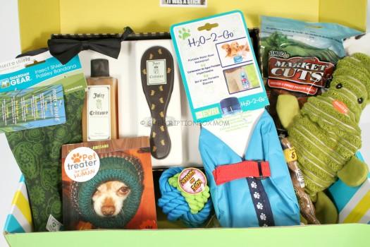 Pet Treater Box August 2016 Review