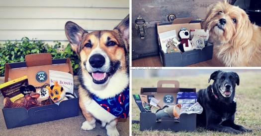 Pupjoy Coupon: Save $10 or Free Box with Subscription