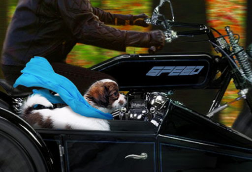 Loot Pets September 2016 Spoilers