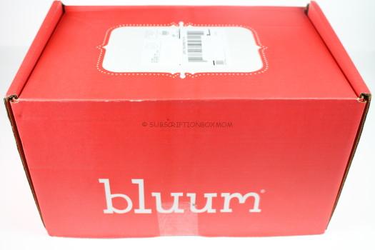 Bluum September 2016 Review