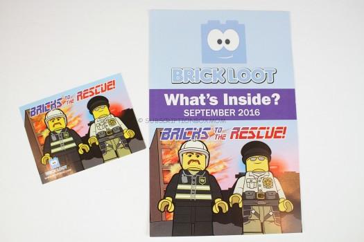 Bricks to the Rescue