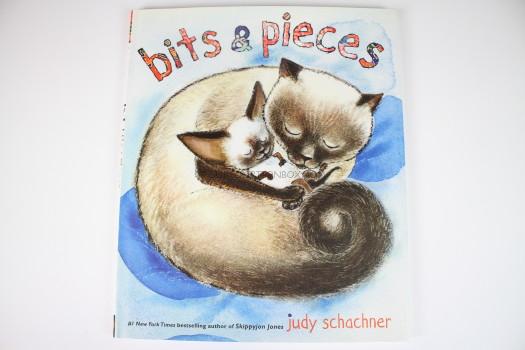 Bits & Pieces Hardcover by Judy Schachner 