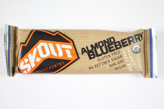 Skout Almond Blueberry Bar