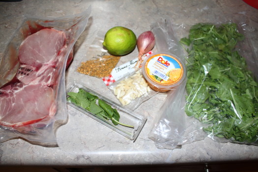 Mojito Pork Chops with citrus salad
