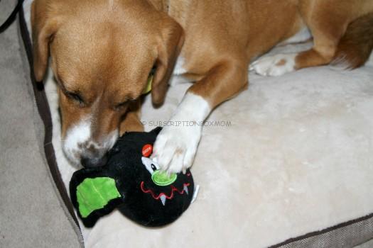 Bat Dog Toy