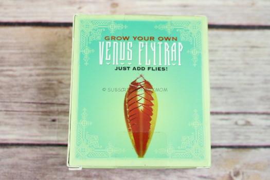 Grow Your Own Venus Flytrap 