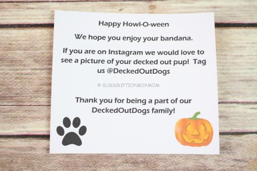 Decked Out Dogs Instagram