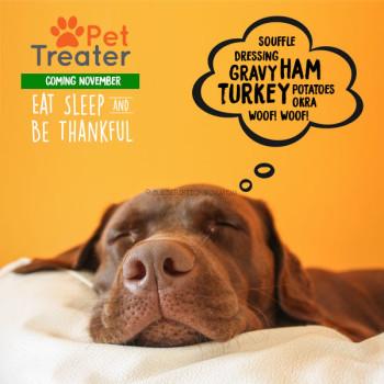 Eat, Sleep and Be Thankful